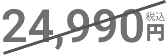 24,990円(税込)